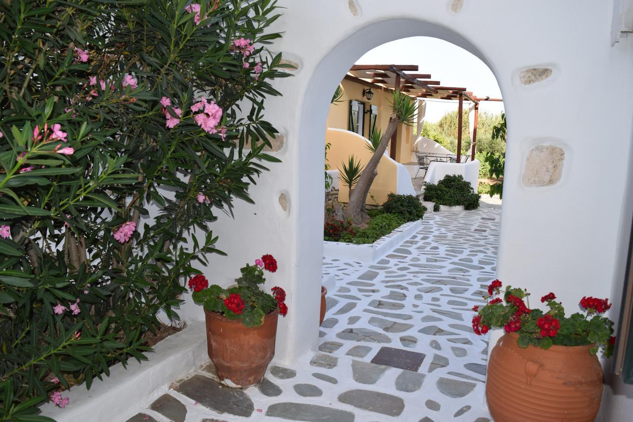 Tzane Studios & Apartments - Steps Away From Golden Beach Chrisi Akti  Exterior photo