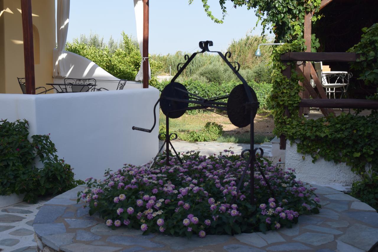 Tzane Studios & Apartments - Steps Away From Golden Beach Chrisi Akti  Exterior photo